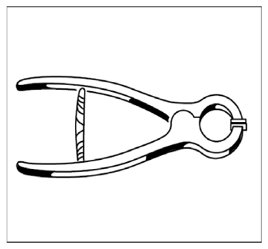 G09825681