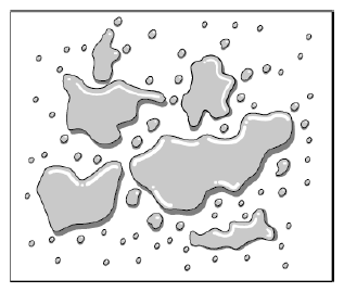 G09826579