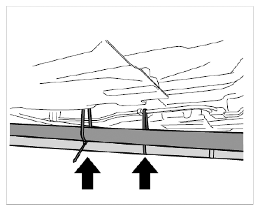 G09828081