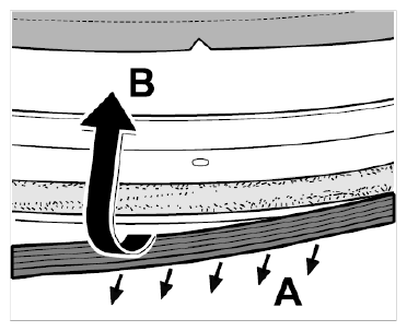 G09831917