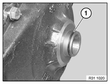 G09877244