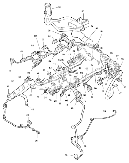 G09931781