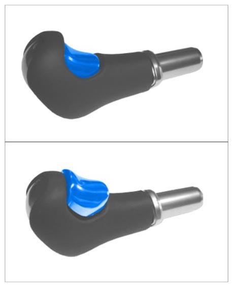 G09934436