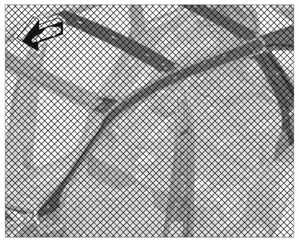 G09938429