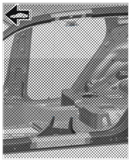 G09938556