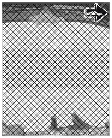 G09938557