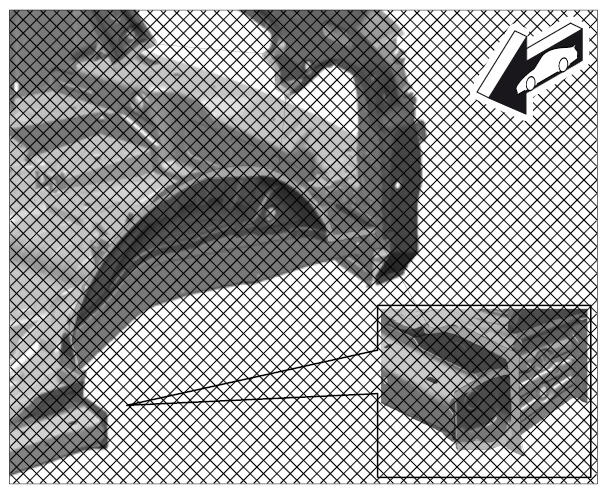 G09938895