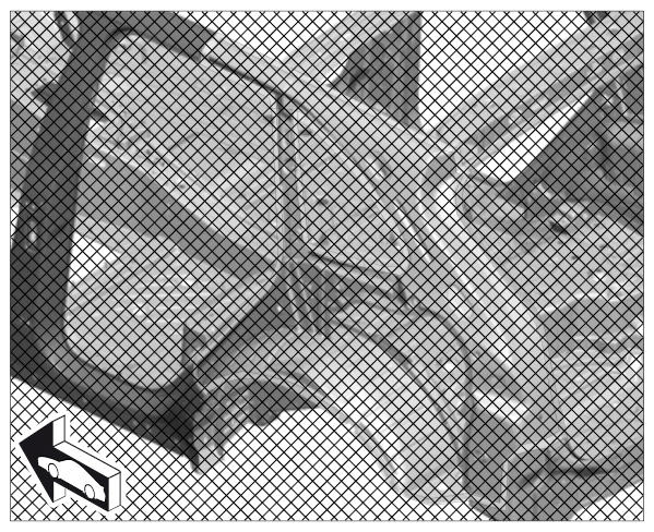 G09939124