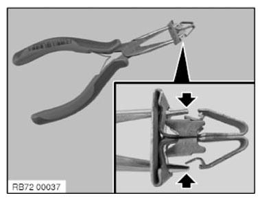 G09948081