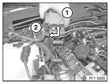 G09954254