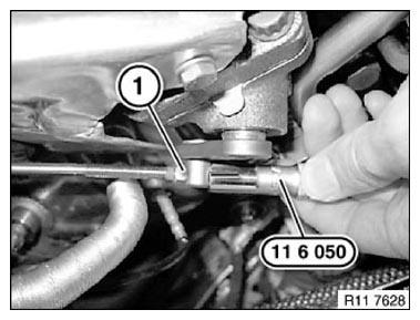 G09954433