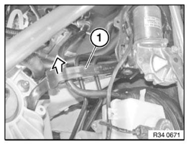 G09959529