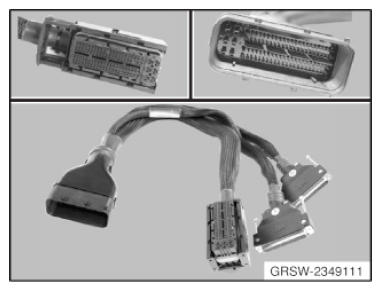 G09965029