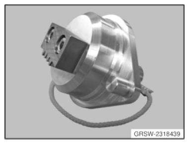 G09965064