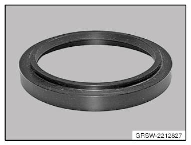 G09965616