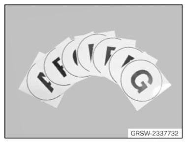 G09968497