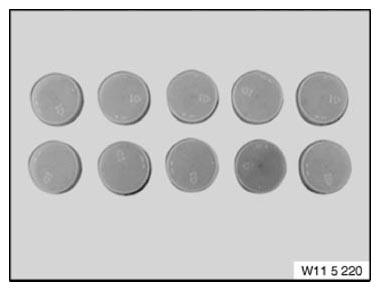 G09968980