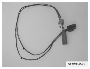 G09973060