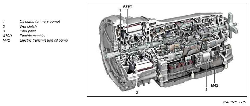 G09974790