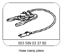 G09975388