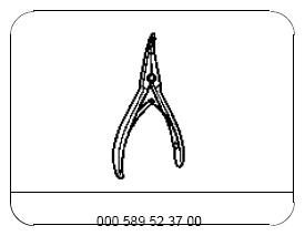 G09975611