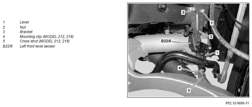 G09977561