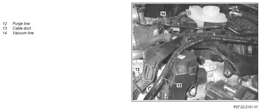 G09981578