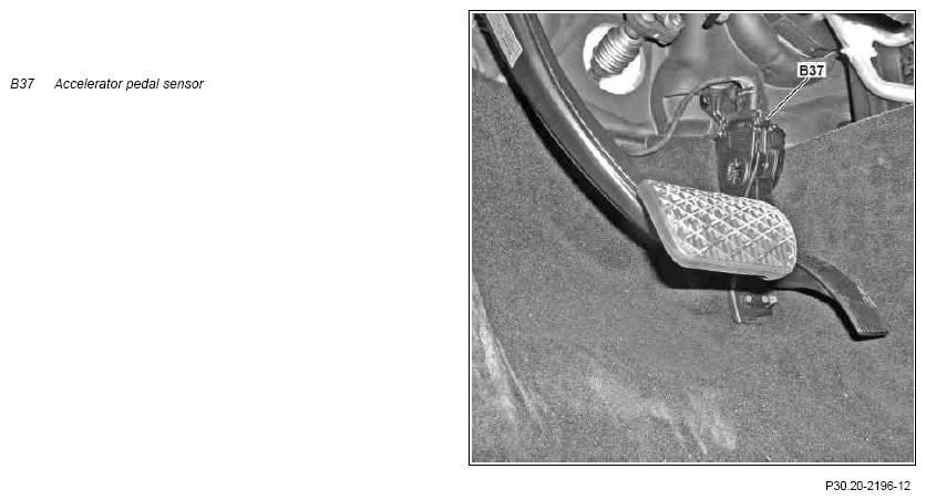 G09981770