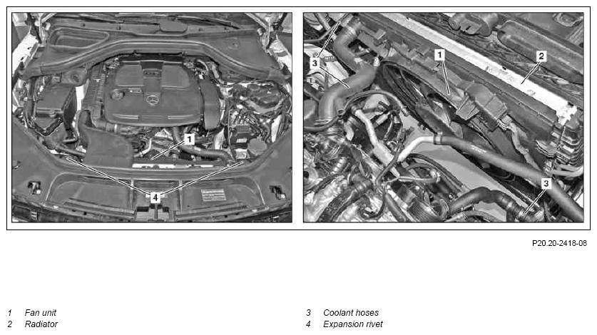 G09981994