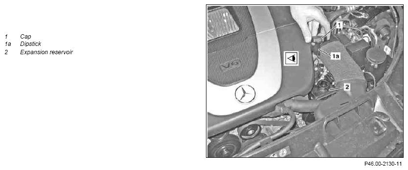 G09983685