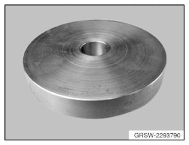 G09987069