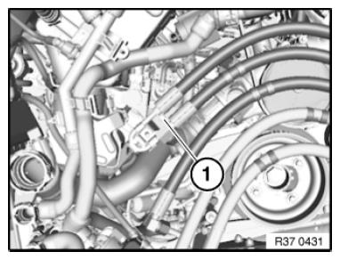 G09988647