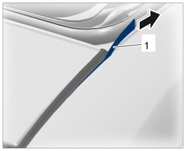 G09994356
