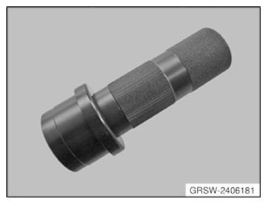 G09996056
