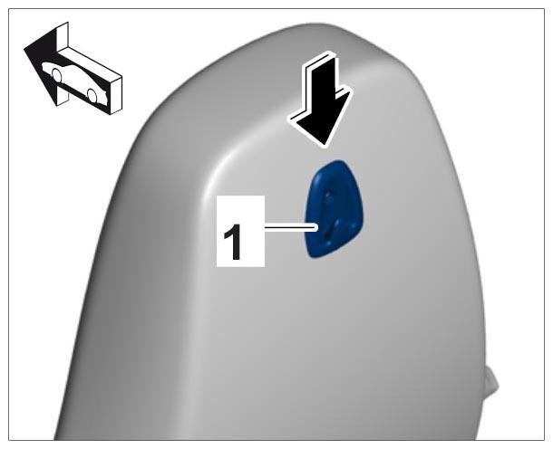 G09998497