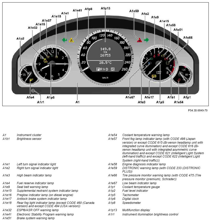 G10000334