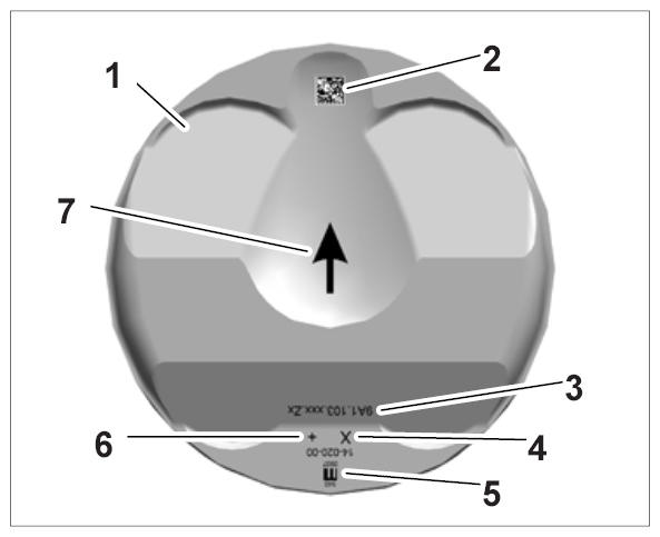 G10024965