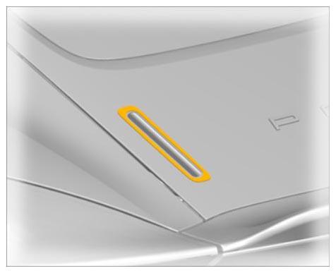 G10027233