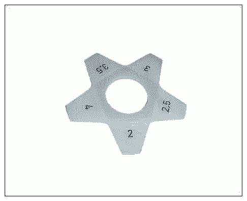 G10029131