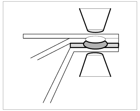 G10033018