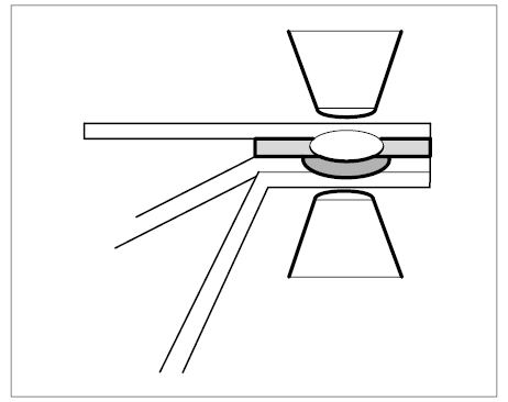 G10033019