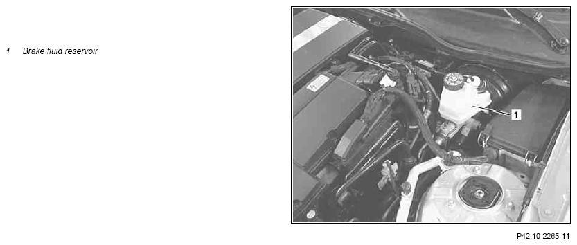 G10037988
