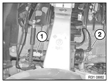 G10039655
