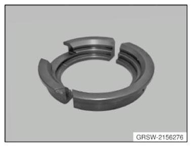 G10052976