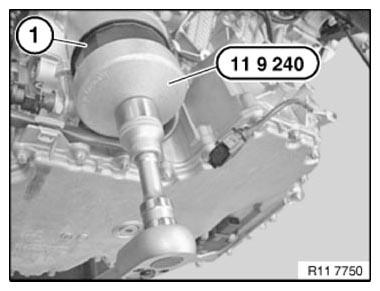 G10055784