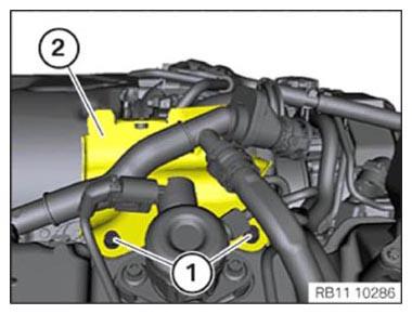 G10056196