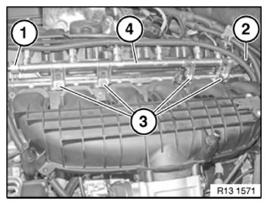 G10059081