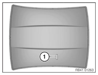 G10062364