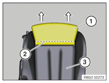 G10063655