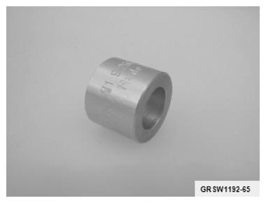 G10066911